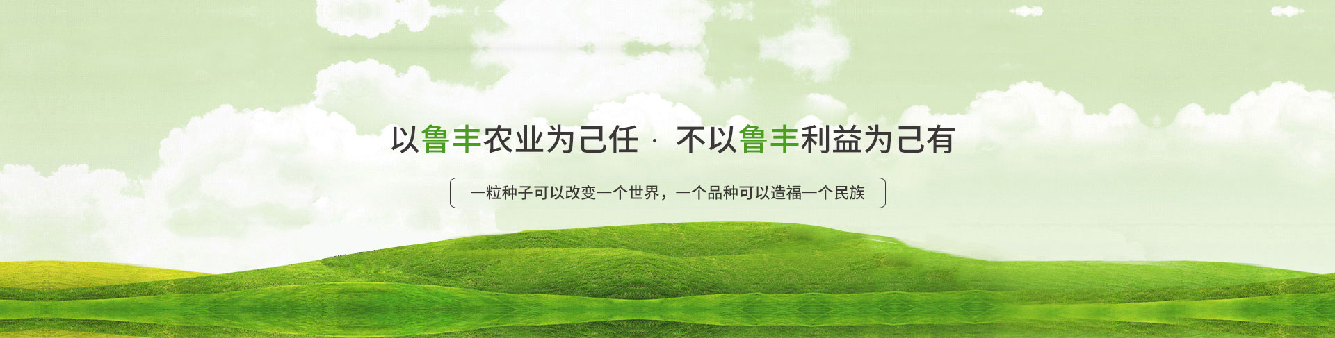 魯豐農業